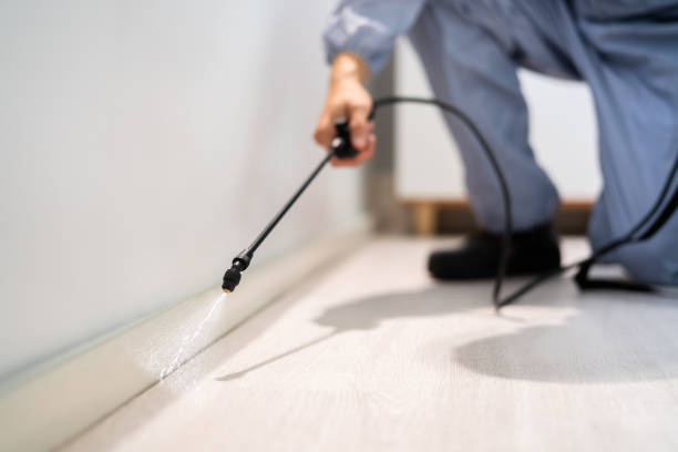 Licensed Rodent Control service in Rapides Parish County, LA - Nex Pest Control